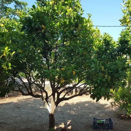 Sakkatos 3* Dhavgáta